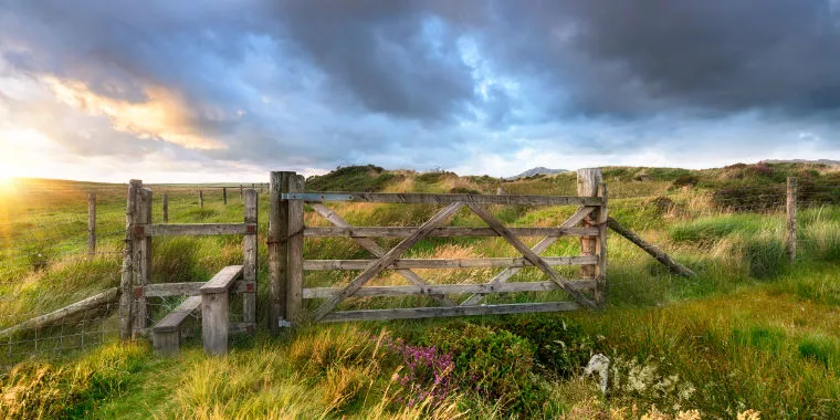 Wooden gate in field